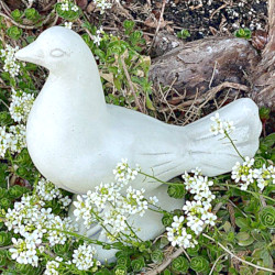 Скульптура  Голубь