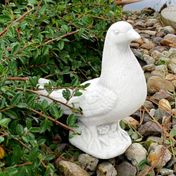 Скульптура Голубь