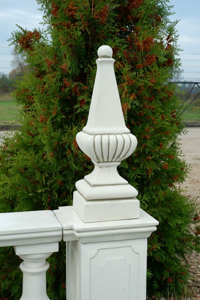 Декоративный элемент Стелла