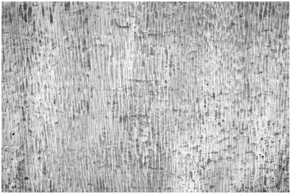 Лавка декоративная античная