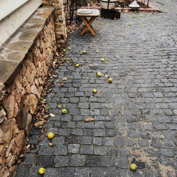 Пилено-колотая брусчатка из Гранита габбро, размер 100-100 мм, толщина 50 мм