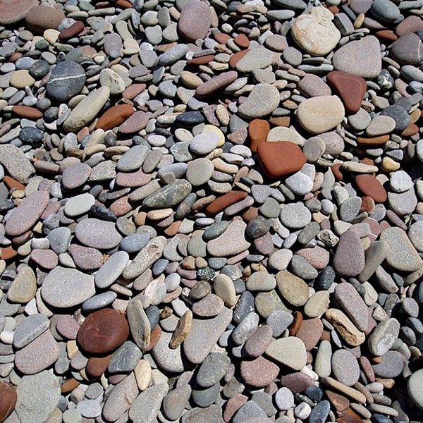 Галька Каспийская с ракушками