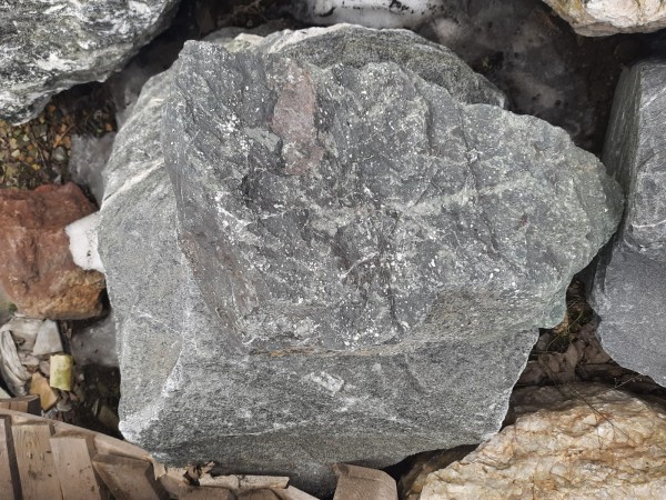 Валун Диобаз