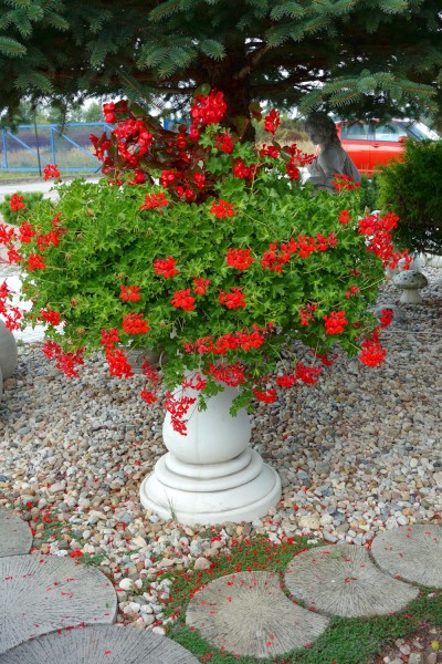 Вазон античный на ножке