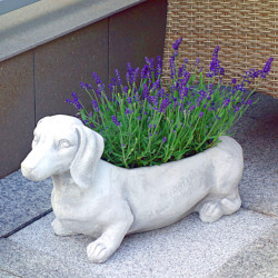 Вазон Такса