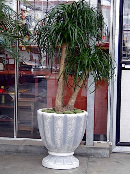 Вазон современный Ваза