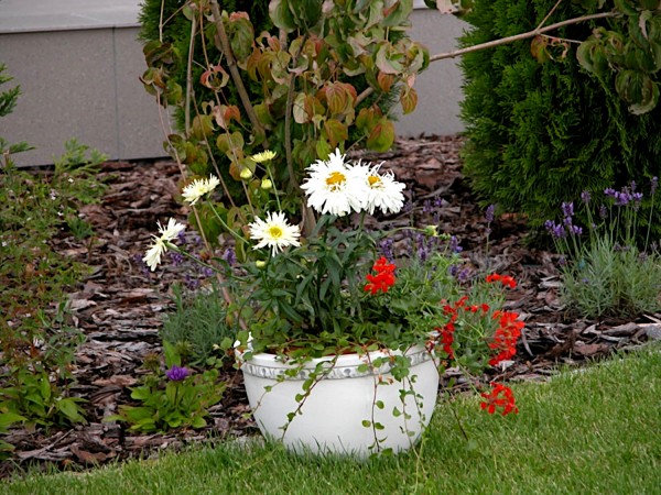 Вазон современный, круглый с ободком