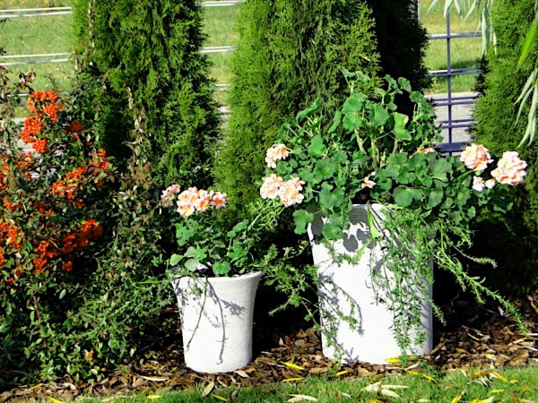 Вазон современный, круглый с расширением вверху