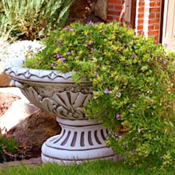 Вазон античный овальный