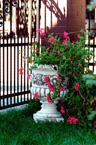 Вазон античный Цветы