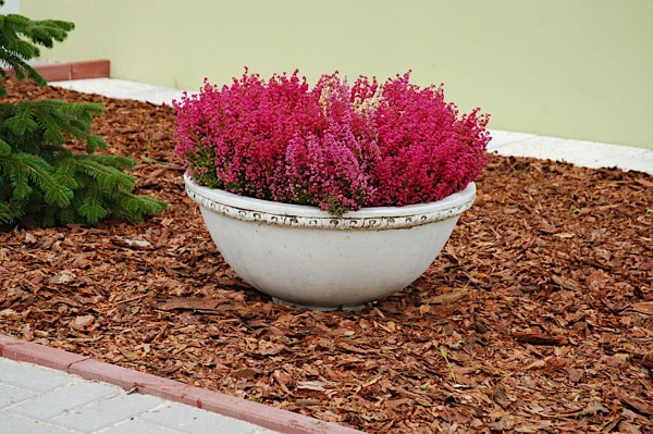 Вазон классический, круглый