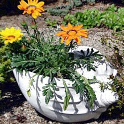 Вазон современный Рапан