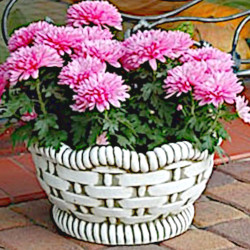 Вазон современный Корзинка