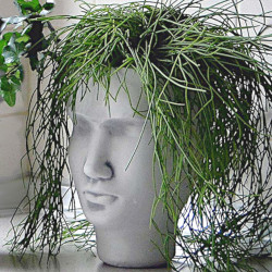 Вазон современный Голова женская