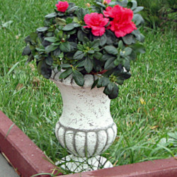 Вазон античный Цветок