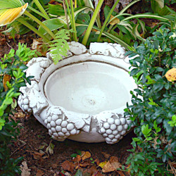 Вазон-поилка с виноградом