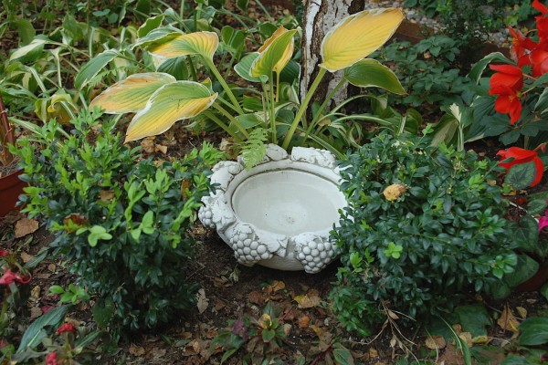 Вазон-поилка с виноградом