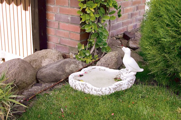 Вазон-поилка с птицей