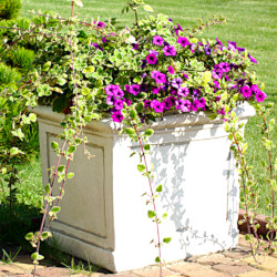 Вазон современный квадратный