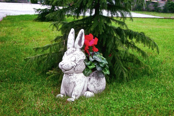Вазон Заяц