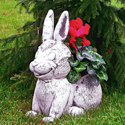 Вазон Заяц