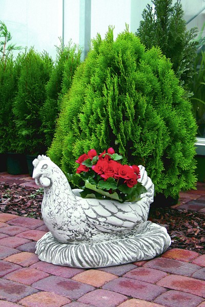 Вазон Курица-наседка