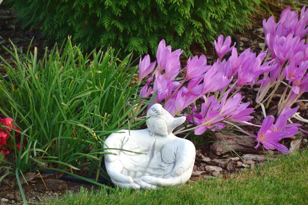 Поилка для птиц Ладони