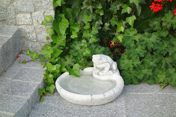 Поилка с лягушкой