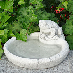 Поилка с лягушкой