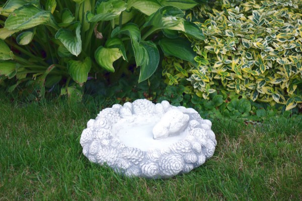 Поилка с птичкой