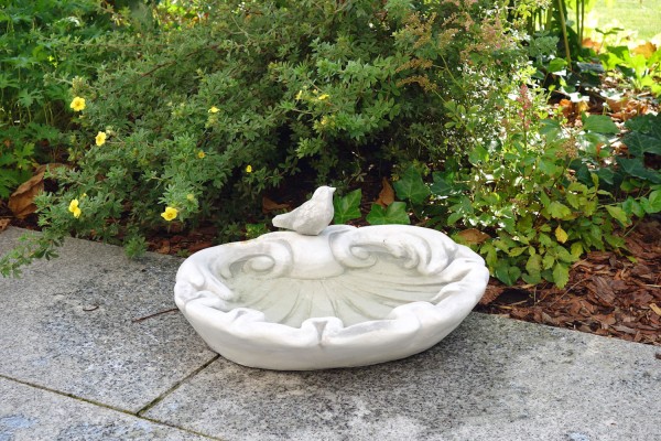 Поилка Ракушка с птичкой