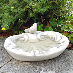 Поилка Ракушка с птичкой