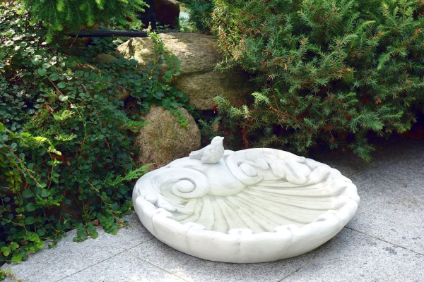 Поилка Ракушка с птичкой