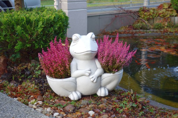 Вазон Лягушка