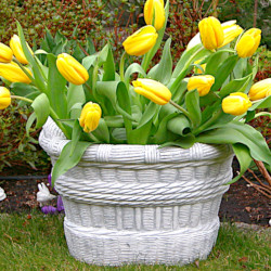 Вазон Корзина