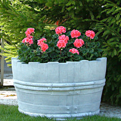 Вазон Кадка