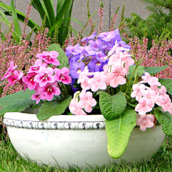 Вазон современный, круглый с ободком