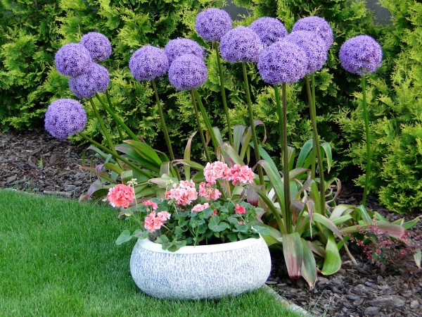 Вазон современный Сердечко