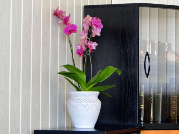 Вазон греческий