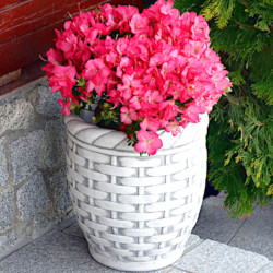 Вазон Плетенка