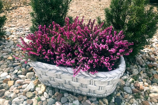 Вазон кашпо Плетёнка