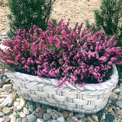 Вазон кашпо Плетёнка