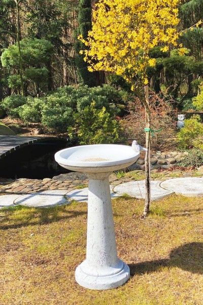 Поилка для птиц