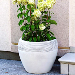 Вазон античный круглый