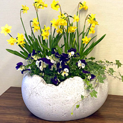 Вазон Скорлупа