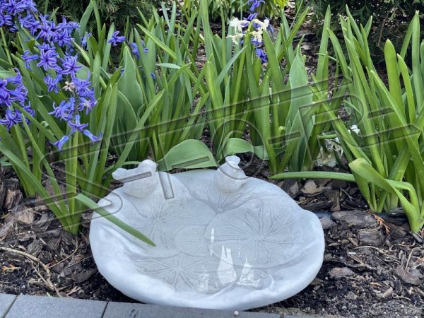 Поилка для птиц