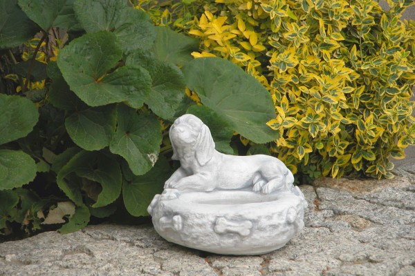 Поилка с собачкой