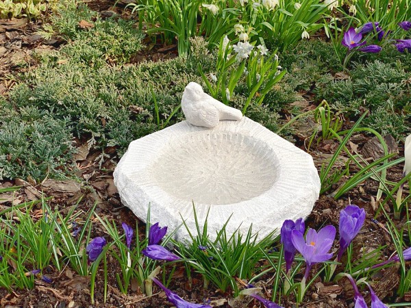 Поилка для птиц