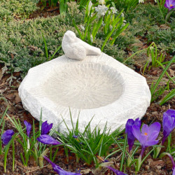 Поилка для птиц