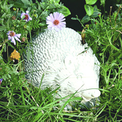 Скульптура Ёж